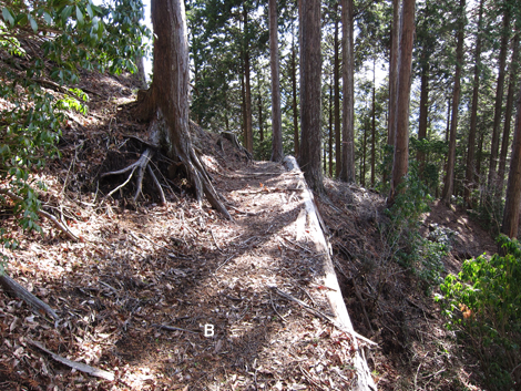 20200110hike (153)